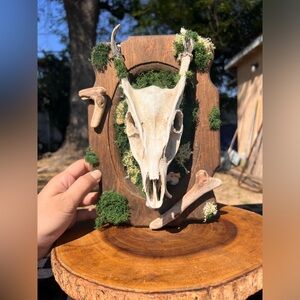 Faux deer skull oddity